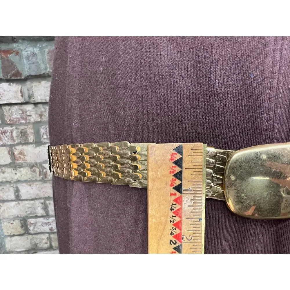 belt fish scale gold elastic